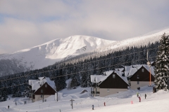 zimanew6