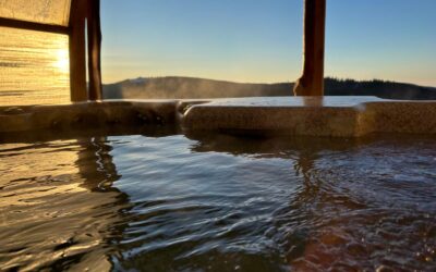 AKCE: od 24.1.2026 do 8.2.2026 – 700,- lůžko